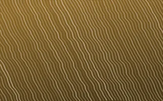 Prague Gold Arashi Shibori — dark brown and beige shibori background