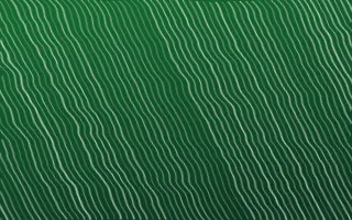 Rio Carnival Arashi Shibori — dark green shibori background