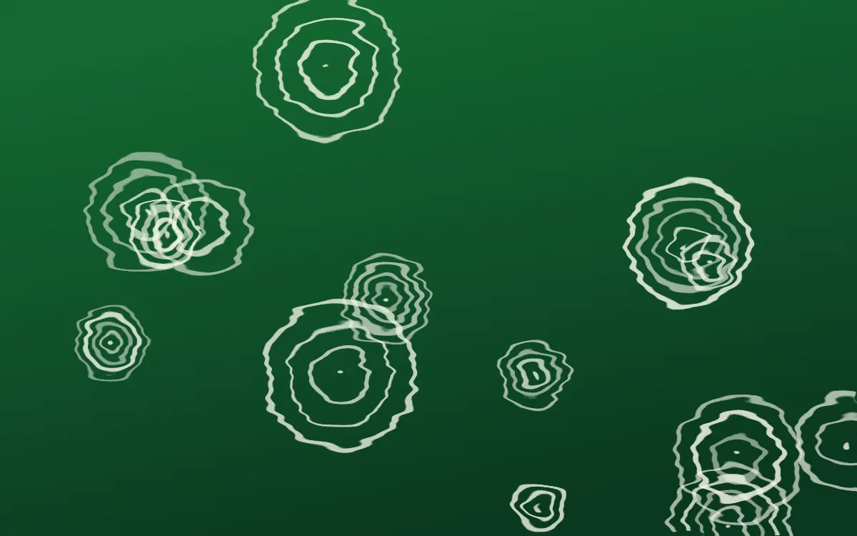 Rio Carnival Shibori Rings — dark green shibori background