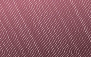 Sakura Paper Arashi Shibori — dark red and white shibori background