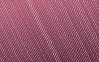 Seoul Blossom Arashi Shibori — dark pink and white shibori background