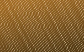 Sevilla Ochre Arashi Shibori — dark brown and beige shibori background