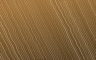 Tuscany Sun Arashi Shibori — dark brown and beige shibori background