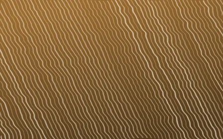 Tuscany Sun Arashi Shibori — dark brown and beige shibori background