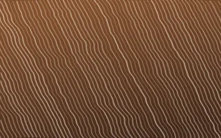 Zanzibar Spice Arashi Shibori — dark brown and beige shibori background
