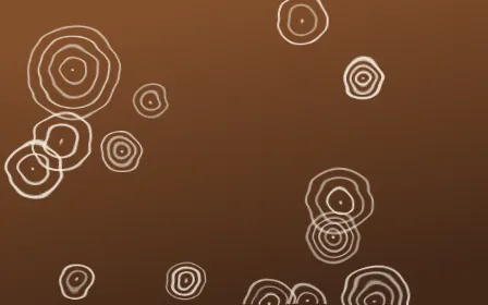 Zanzibar Spice Shibori Rings — dark brown and beige shibori background