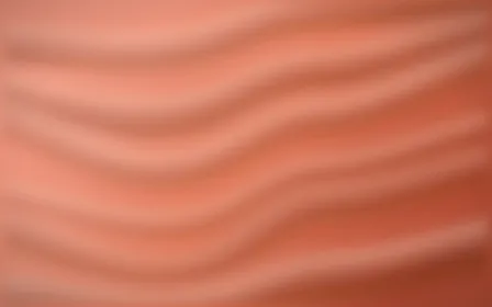 Coraline Drape — light orange and red silk background