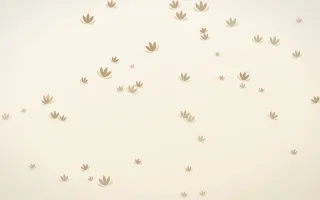 Ivory Lotus — light orange, beige and white spiritual background