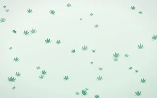 Jade Lotus — light green and white spiritual background