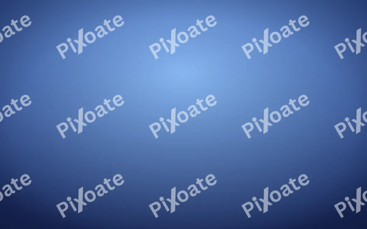 Navy Portrait — dark blue studio backdrop