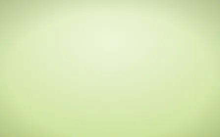 Pistachio Pop Sweep — light green studio backdrop