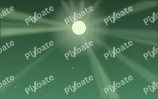Forest Cathedral Light — dark green sunlight background