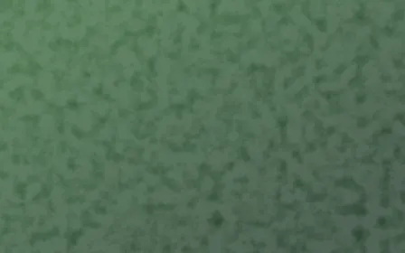 Amazônia Plaster — dark green textured background