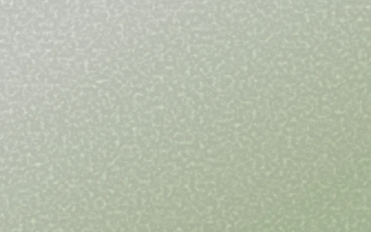 Bamboo Mist Plaster — light white and green textured background
