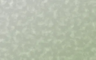 Bamboo Mist Plaster — light white and green textured background