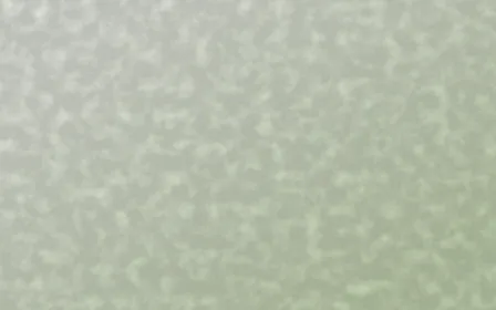 Bamboo Mist Plaster — light white and green textured background