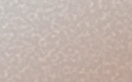 Budapest Rose Plaster — light white and orange textured background