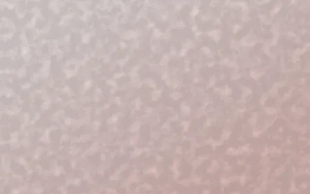 Damascus Rose Plaster — light white and red textured background