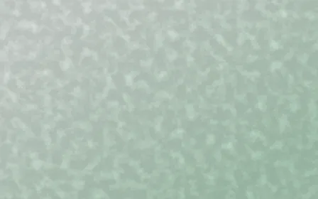 Havana Mint Plaster — light white and green textured background