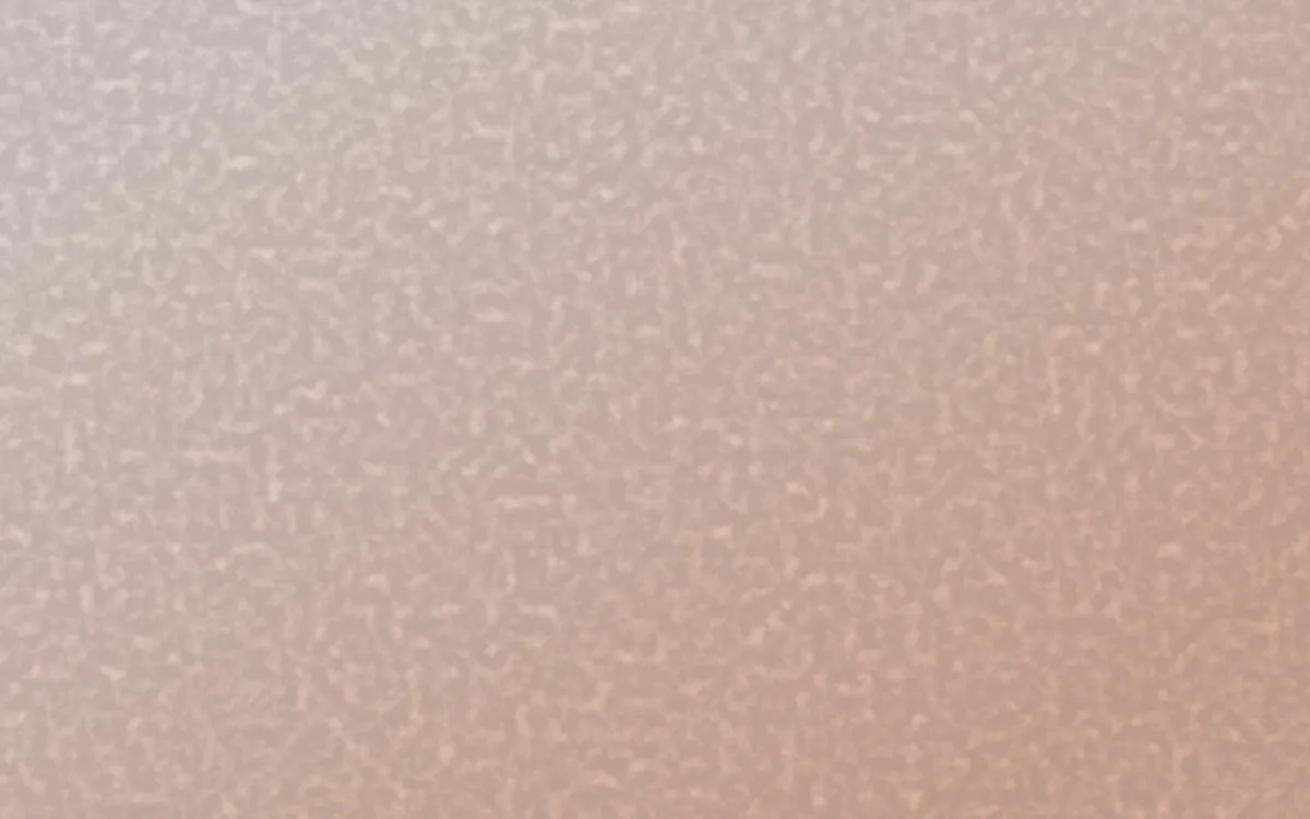 Jaipur Rose Plaster — light orange textured background