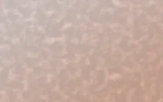Jaipur Rose Plaster — light orange textured background