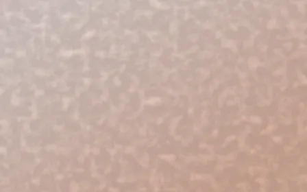 Jaipur Rose Plaster — light orange textured background