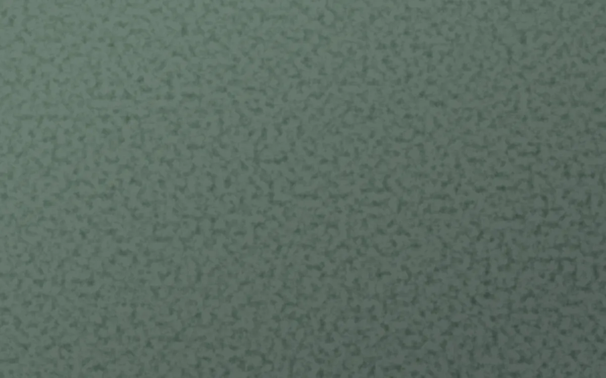 Kiwi Fern Plaster — dark green textured background