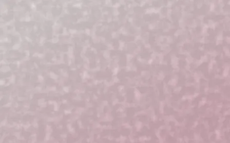 Lotus Siam Plaster — light white and pink textured background