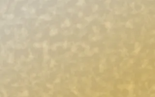 Marigold Temple Plaster — light beige and yellow textured background