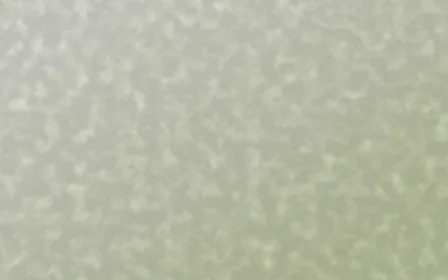 Matcha House Plaster — light white and green textured background