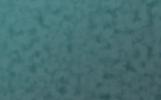 Peacock Court Plaster — dark teal textured background