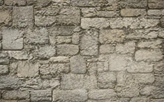 Texture Softbox — light beige textured background