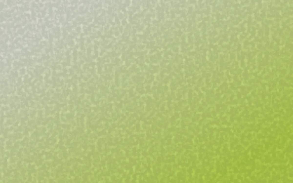 Rio Carnival Plaster — light green textured background