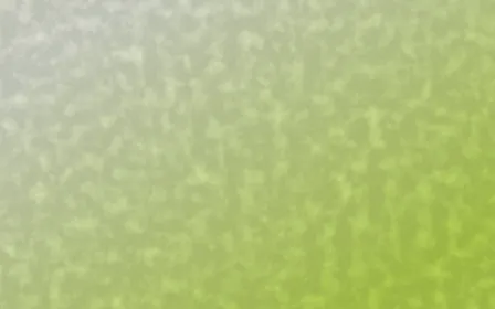 Rio Carnival Plaster — light green textured background