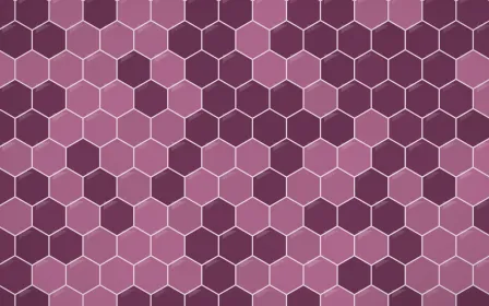 Andes Berry Hex Tiles — dark pink tile background
