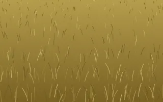 Golden Dry Grass Golden Dry Grass — colourful gold and brown turf background
