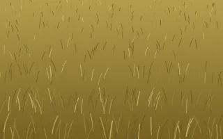 Golden Dry Grass II — colourful gold and brown turf background, variation II