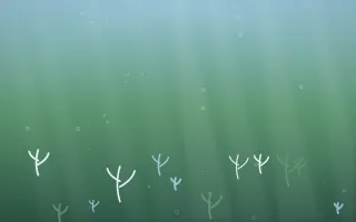 Clear Day Underwater — light blue and green underwater background