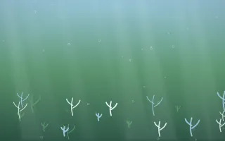 Clear Day Underwater VII — light blue and green underwater background, variation VII