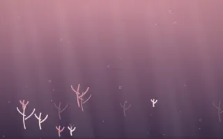 Rose Dusk Underwater — colourful red, pink and purple underwater background