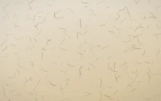 Atlas Sand Fibred Washi — light beige and orange washi paper background