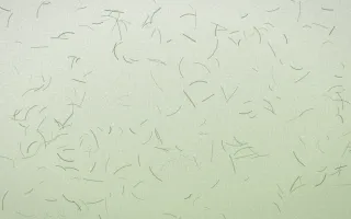 Bamboo Mist Fibred Washi — light white and green washi paper background