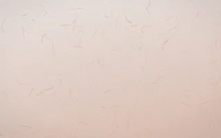 Budapest Rose Washi — light white and orange washi paper background