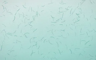 Cancún Surf Fibred Washi — light teal washi paper background