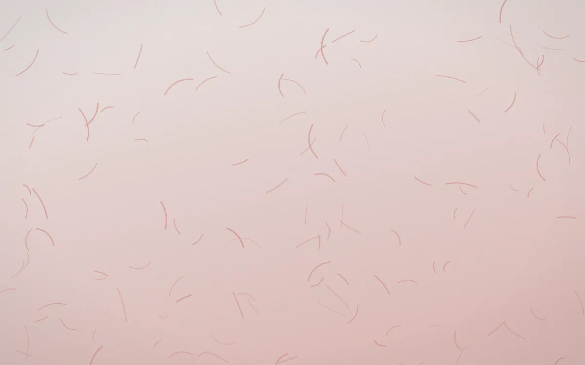 Cape Protea Washi — light white and red washi paper background
