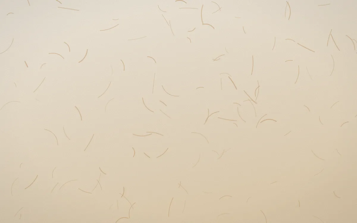 Chai Cream Washi — light beige and orange washi paper background