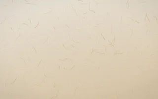 Chai Cream Washi — light beige and orange washi paper background