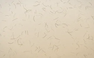 Chai Cream Fibred Washi — light beige and brown washi paper background