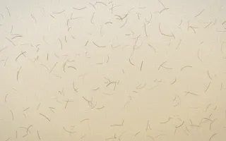 Cotswold Stone Fibred Washi — light beige and orange washi paper background