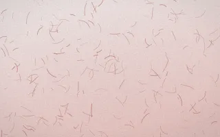 Damascus Rose Fibred Washi — light white and red washi paper background